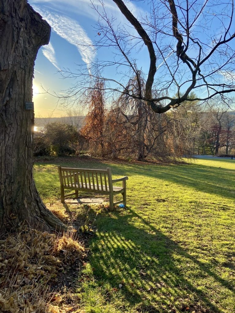 Bench in winter