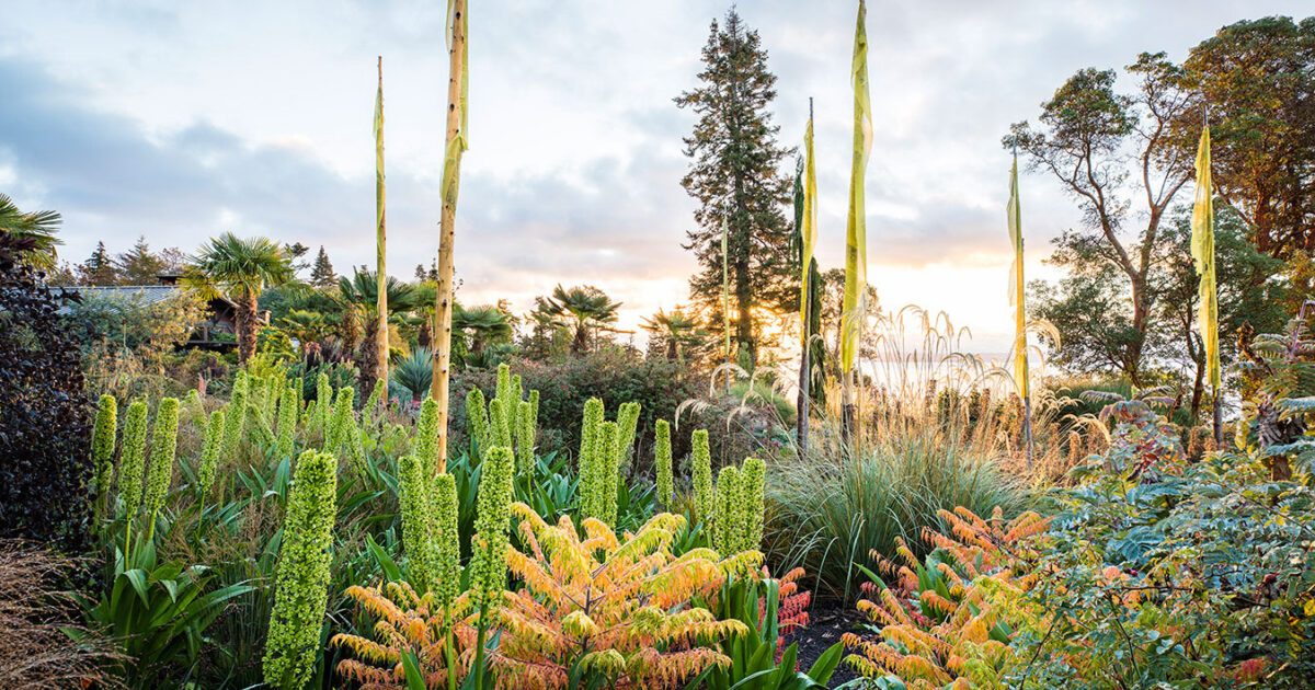 Dan Hinkley: My Life in Plants - Wave Hill