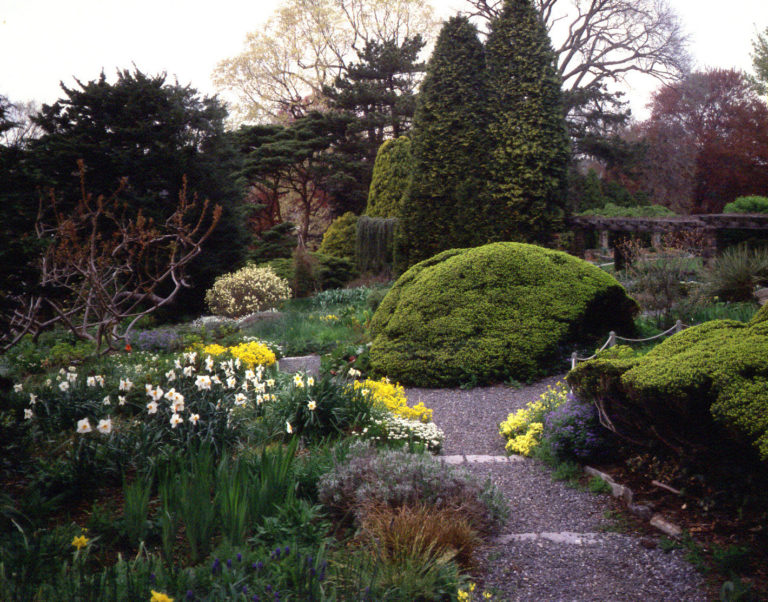 Wave Hill Wild Garden in early spring credit Mick Hales