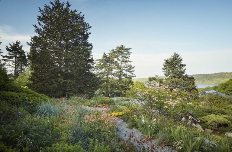 Ngoc wild garden views