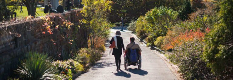 Accessibility visitor in wheelchair