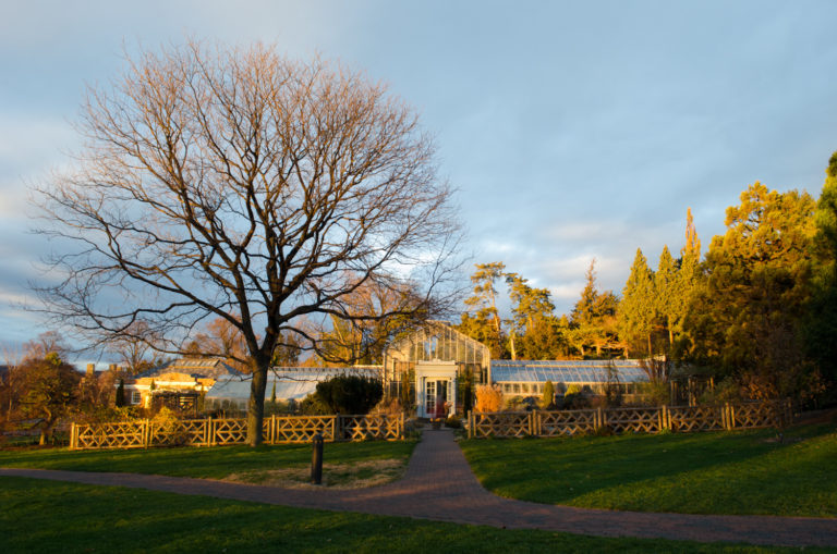 Conservatory winter