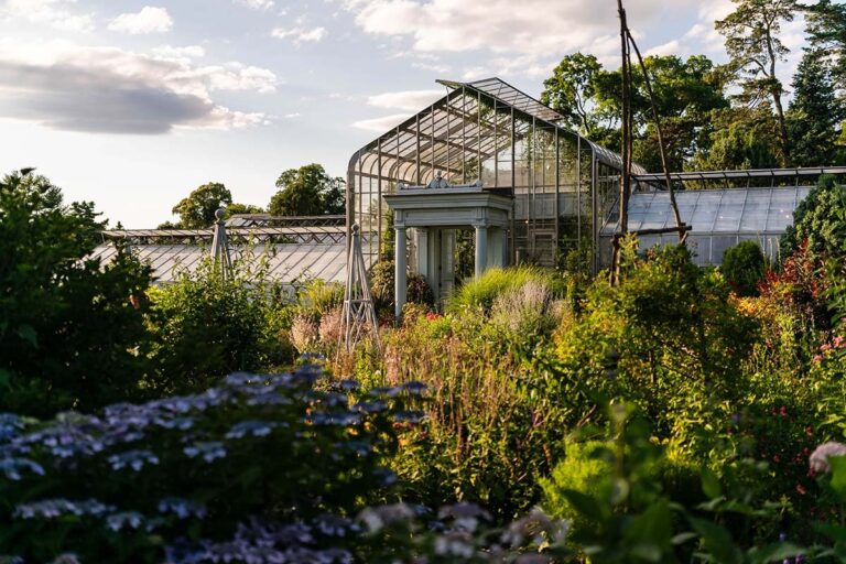 Golden Hour Conservatory Summer