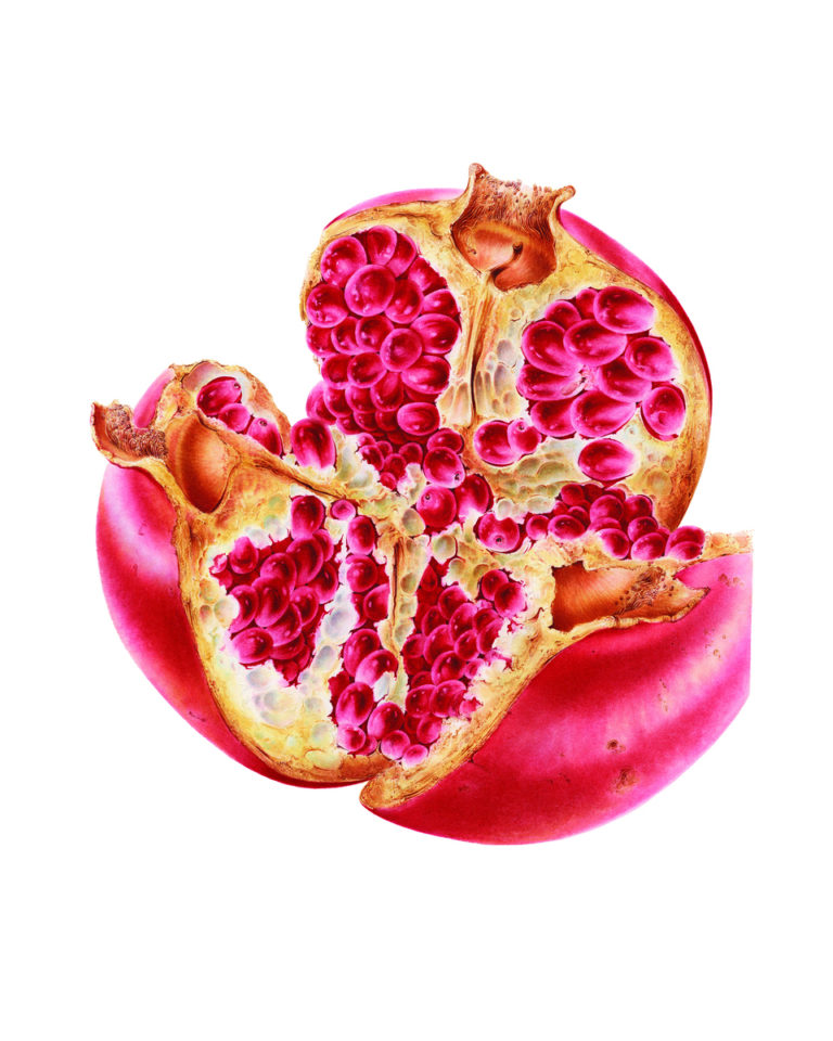 Pastoriza Pinol pomegranate