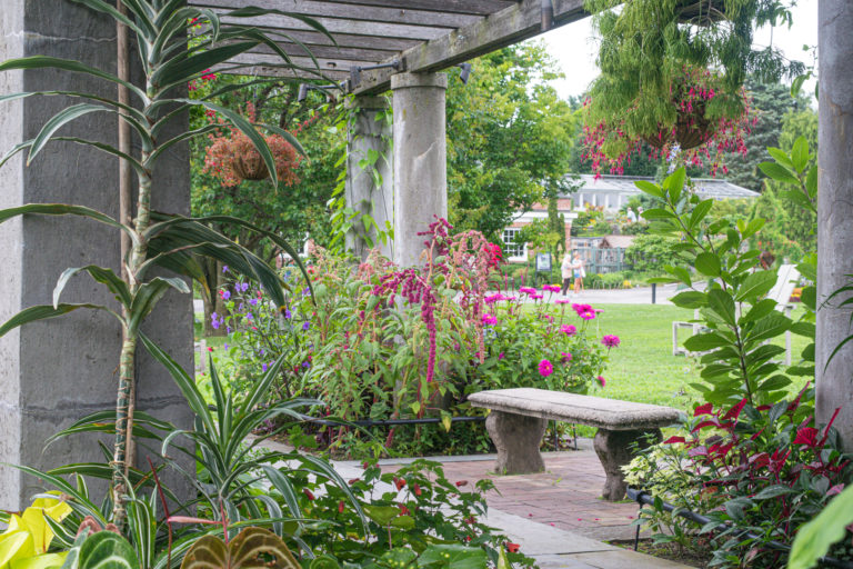 Pergola Fall