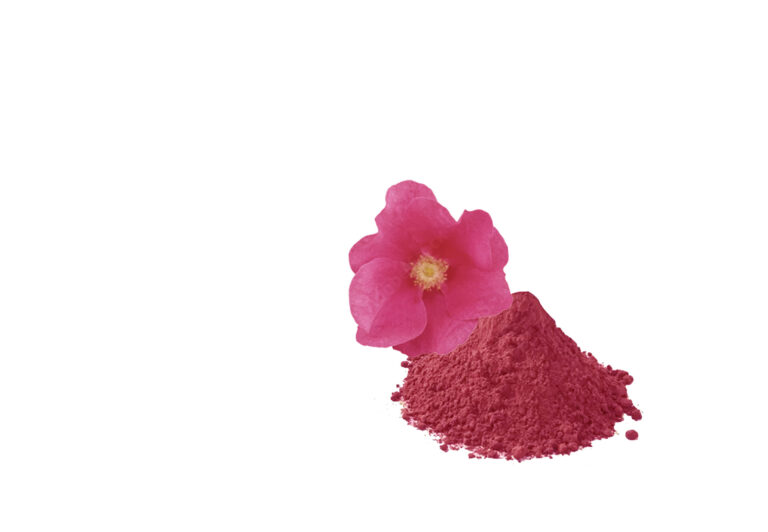 Sujin Lim Concept Rendering03