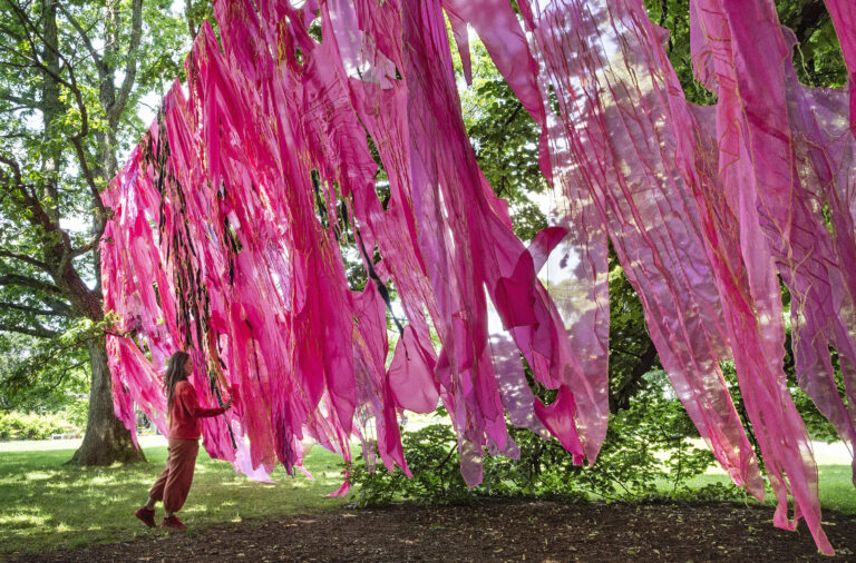Trees-we-breathe_Sara-Jimenez-Folding-Field-withArtist