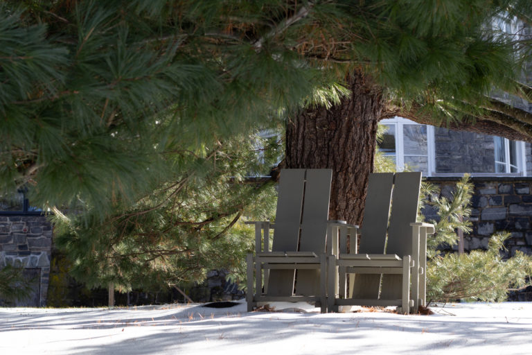 WH Chairs under pine