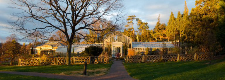 Banner Conservatory winter