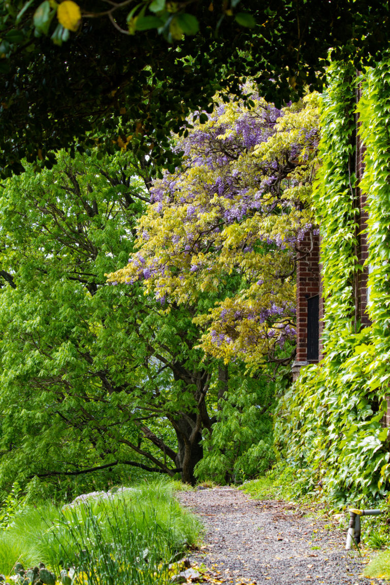 Green pathway