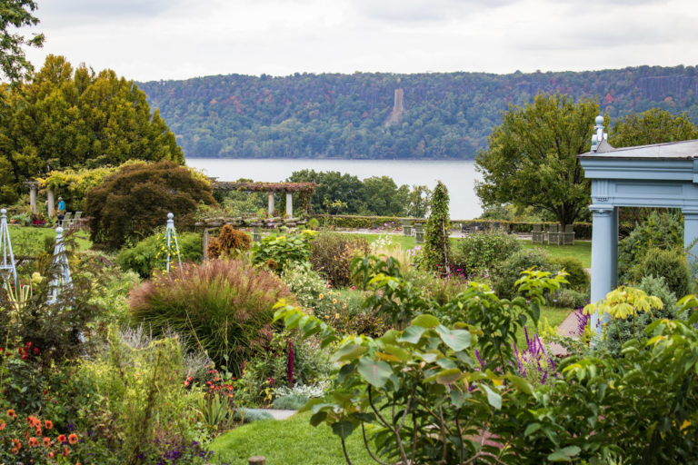 Overview flower garden