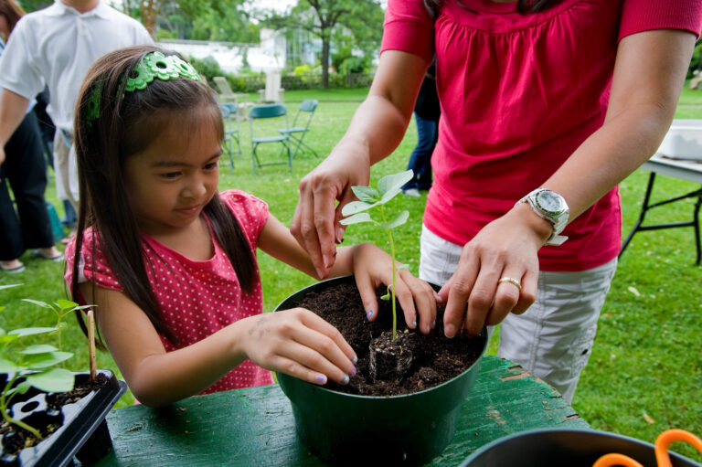 Wave hill Adopt a Plant credit Joshua Bright