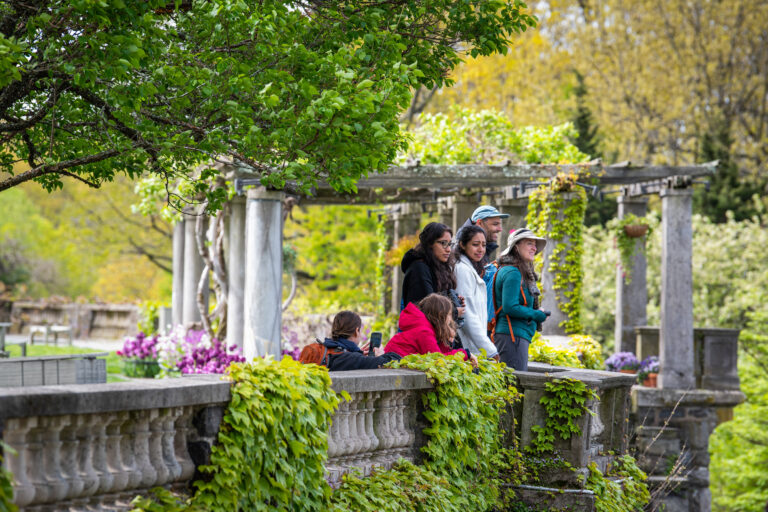 Wave hill Family Nature Walk credit Joshua Bright