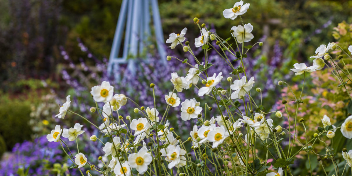 Flower Garden - Wave Hill