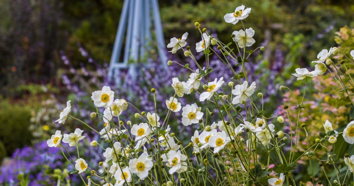 Flower Garden - Wave Hill