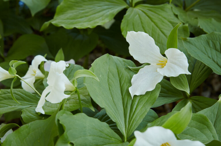 170510 094706 Ngoc Minh Ngo