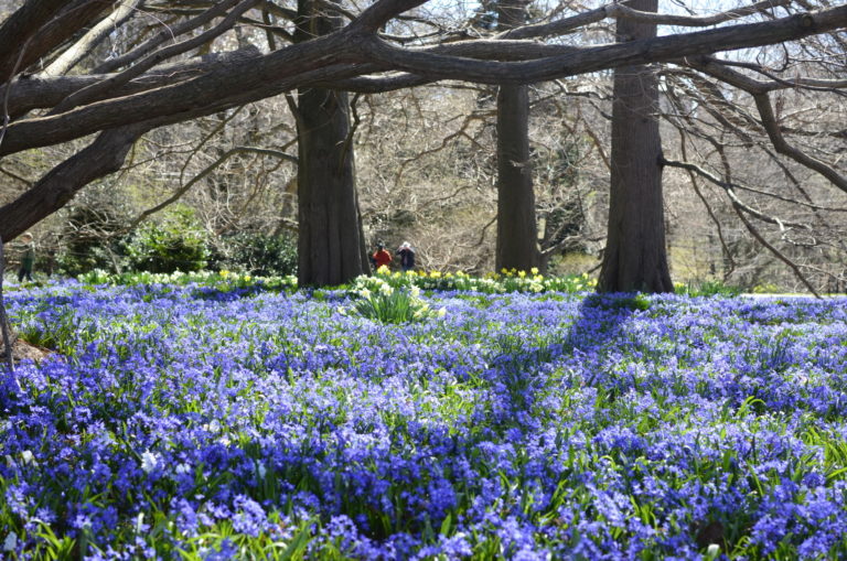 Early spring with visitors