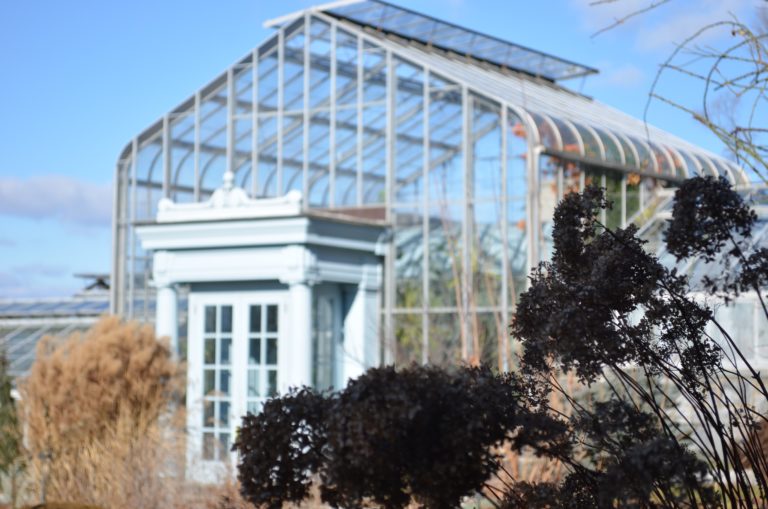 Conservatory in Winter