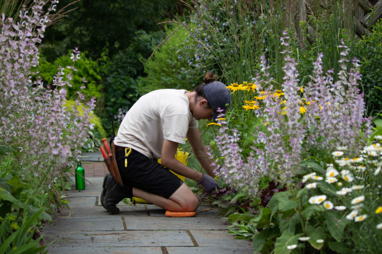 Gardener