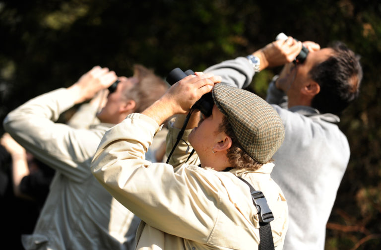 Adult learning Birding credit Joshua Bright