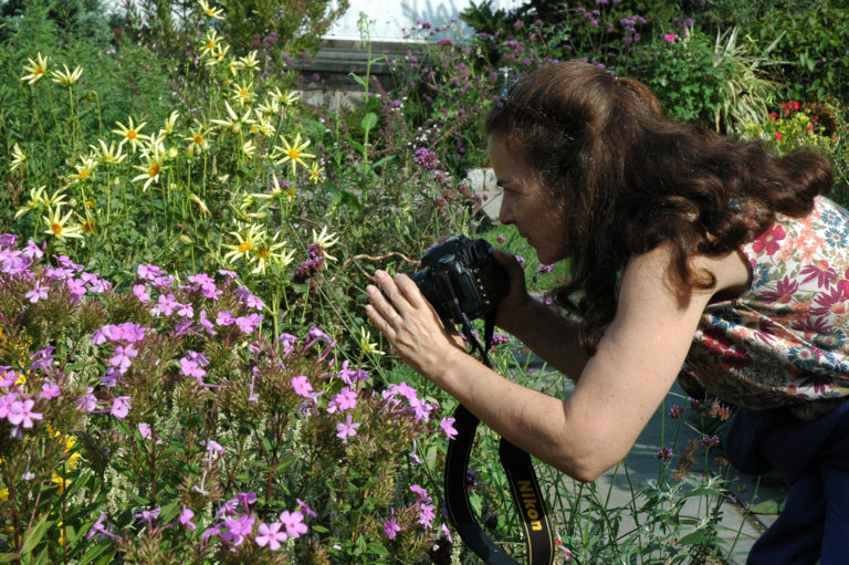 Adult learning Nature Photography credit Wave Hill