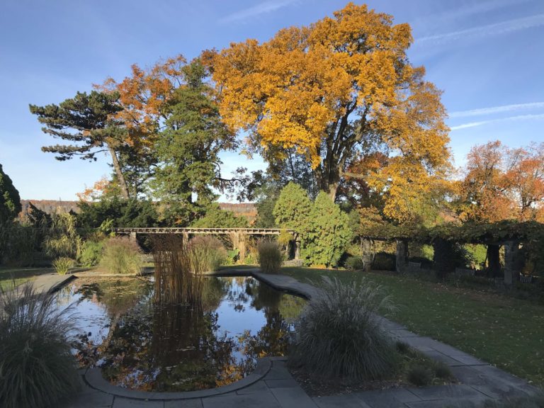 Gardens Aquatic gardenin fall trees