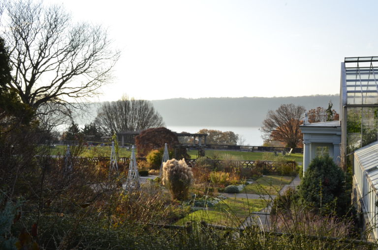 Flower garden early winter