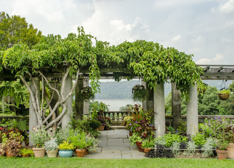 Gardens main pergola Wave Hill 05