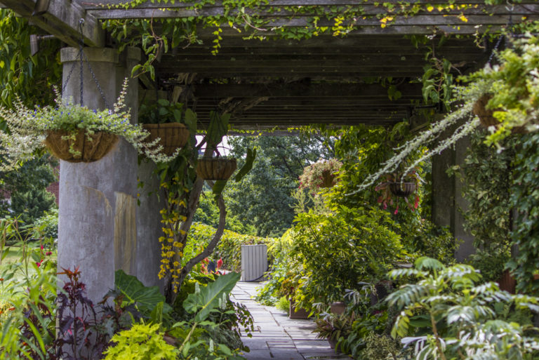 Gardens main pergola Wave Hill 09