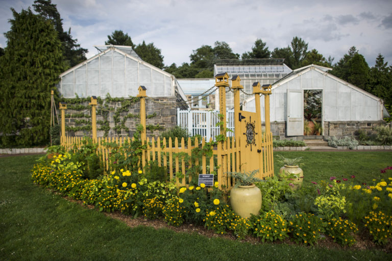 Gardens paisley bed Joshua Bright 43