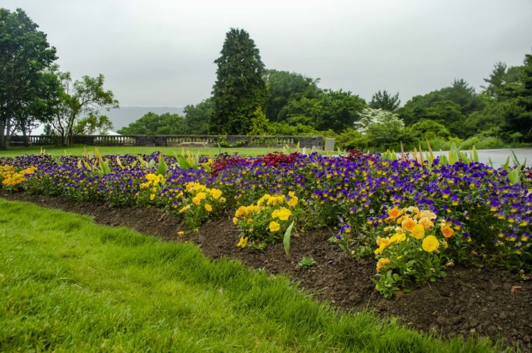 Gardens paisley bed Wave Hill 06