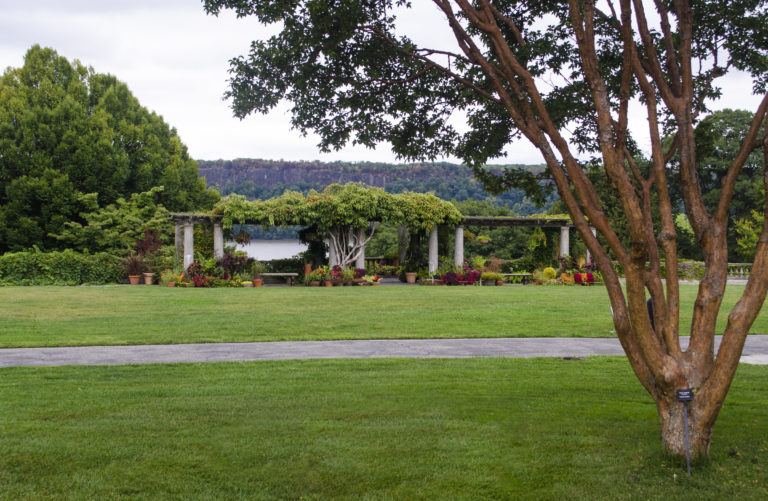 Gardens pergola Wave Hill 10