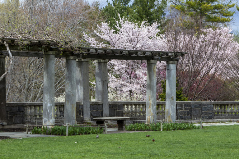 Gardens pergola Wave Hill 64