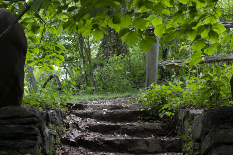 Gardens woodland Wave Hill 06