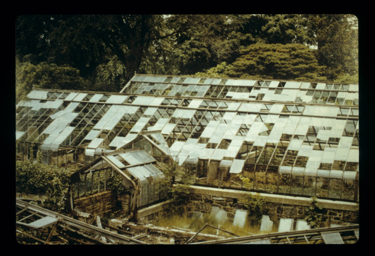 History old greenhouses credit Marco Polo Stufano 206