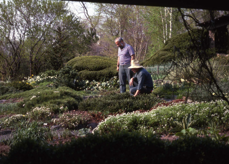 History wild garden credit margaret parke