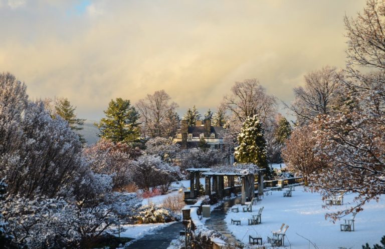 Snowy dreamscape