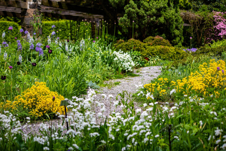 Spring seasonal guide Wild Garden credit Wave Hill