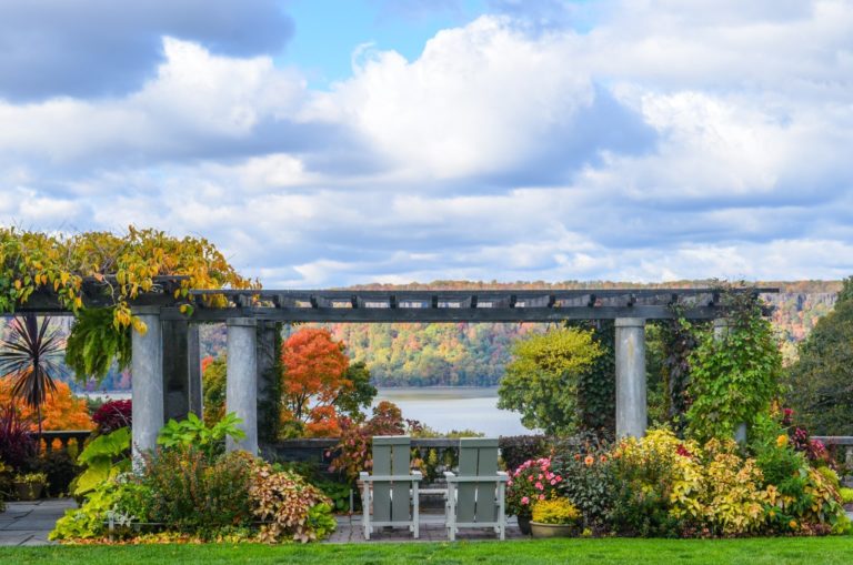 Summer pergola