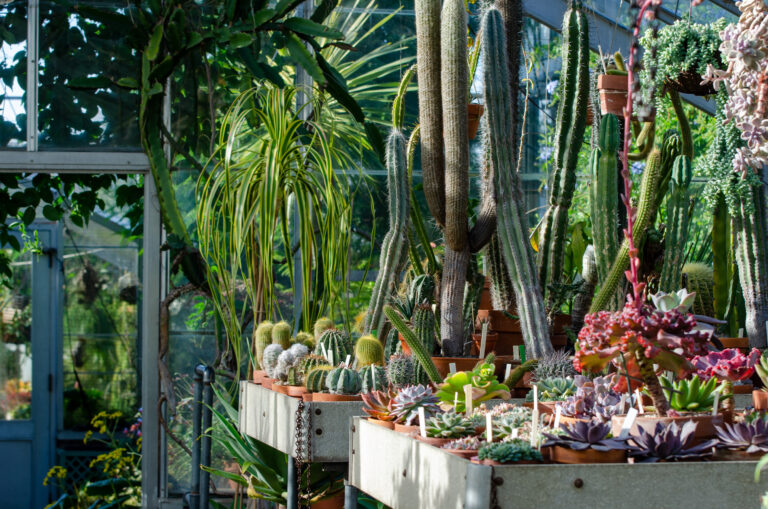 Wave hill untitled credit Wave Hill 3