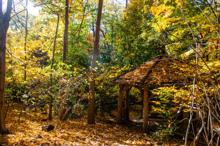 Wave hill untitled credit Wave Hill 4