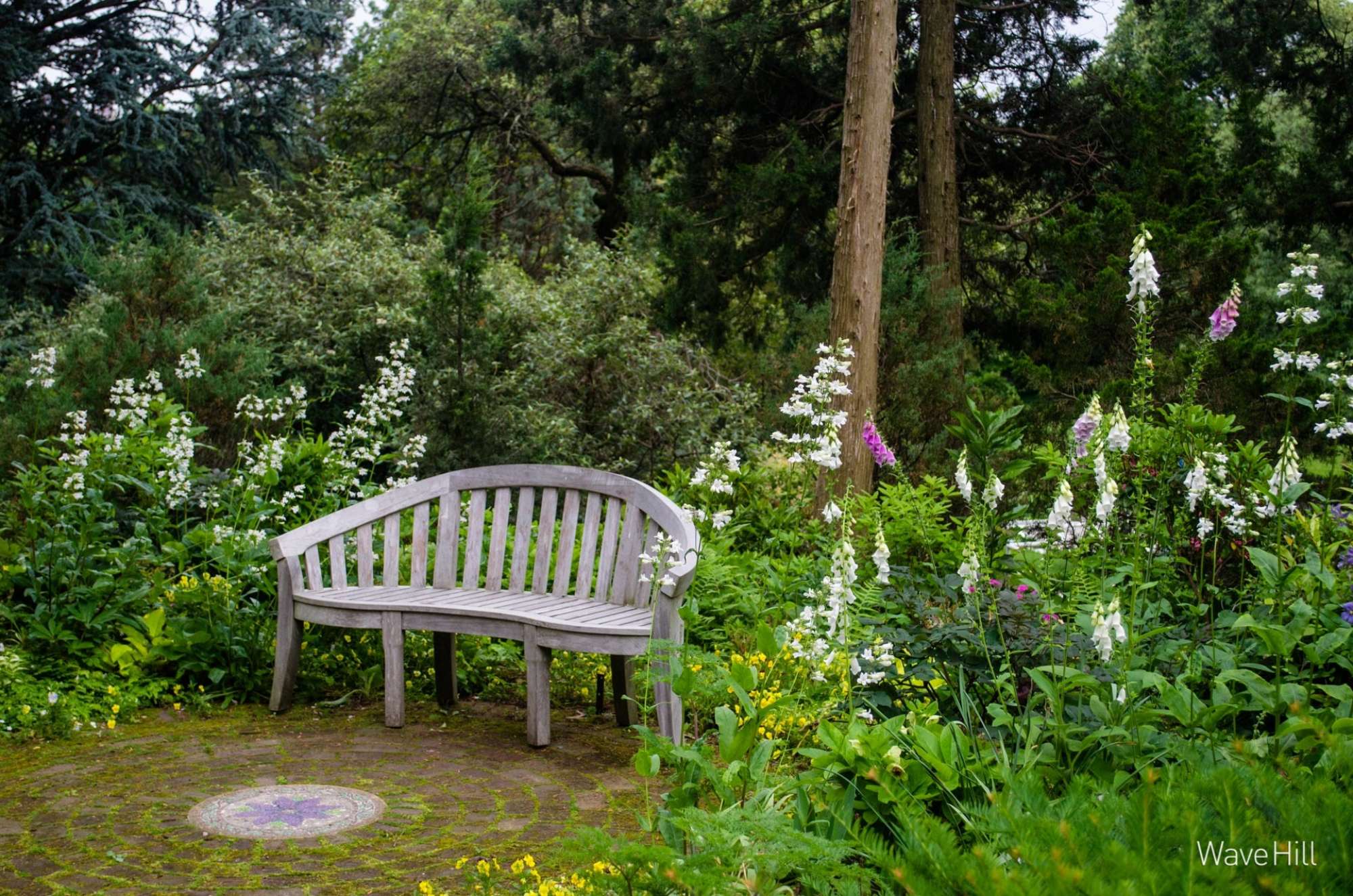 Landscape Zoom Backgrounds