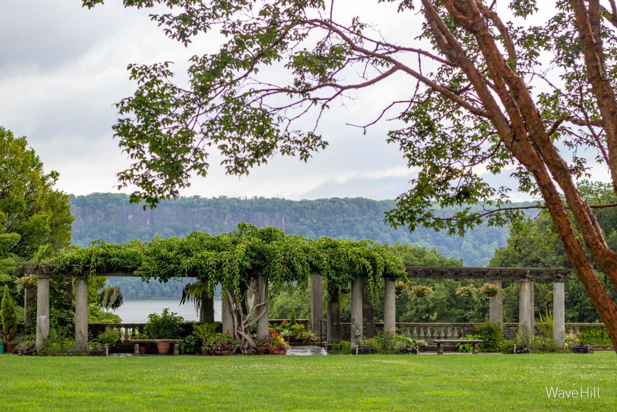 Zoom Backgrounds Wave Hill