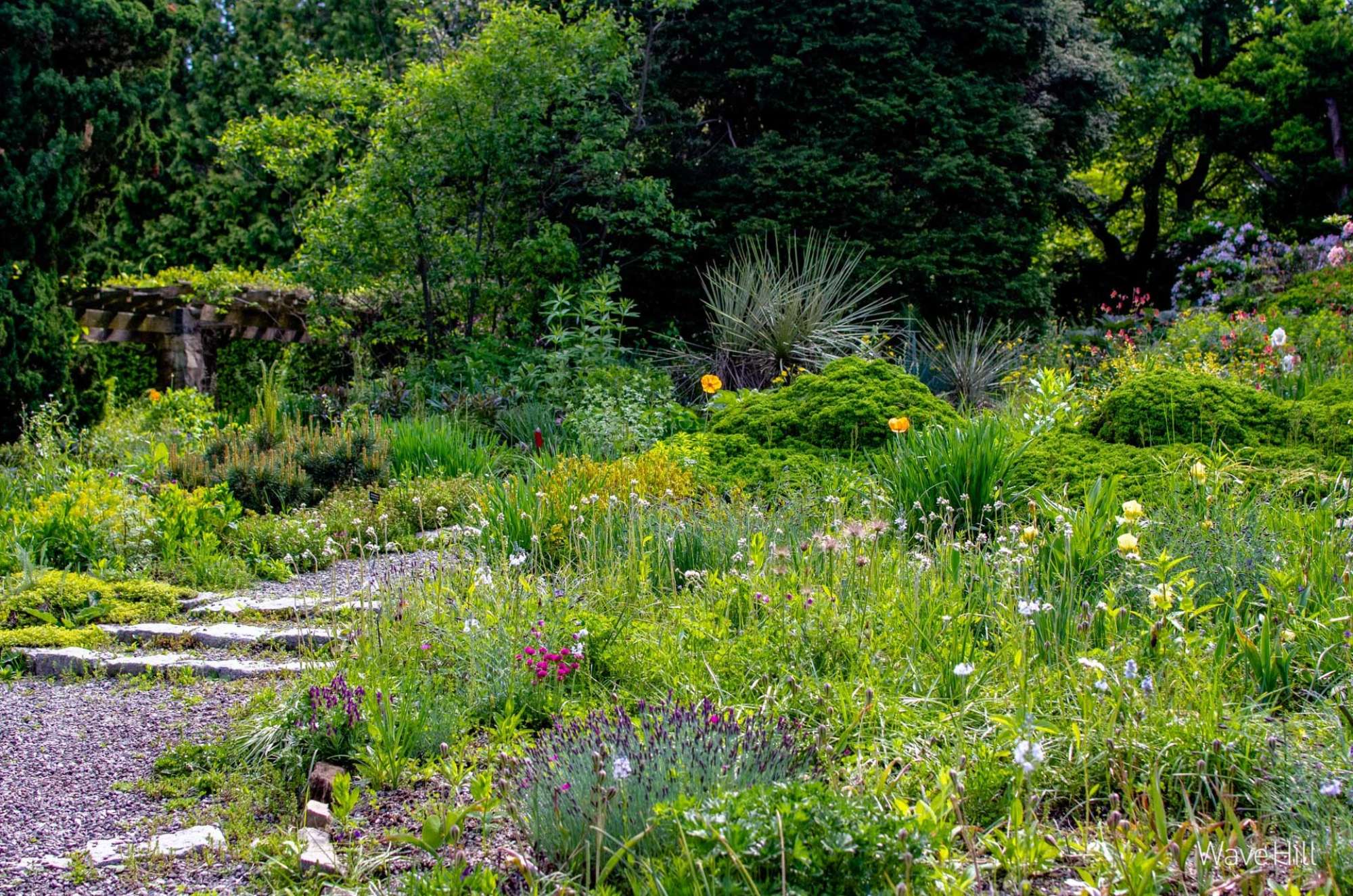 Landscape Zoom Backgrounds