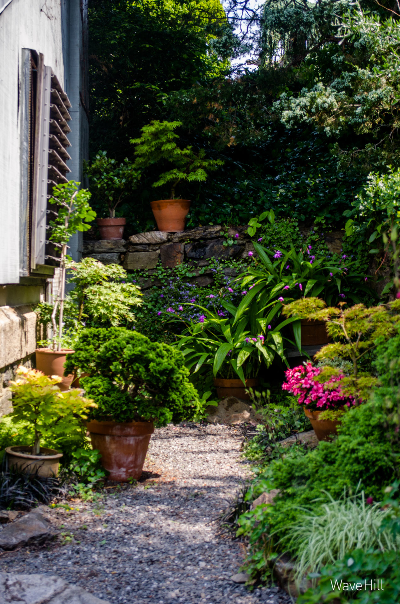 Virtual Background For Zoom Garden