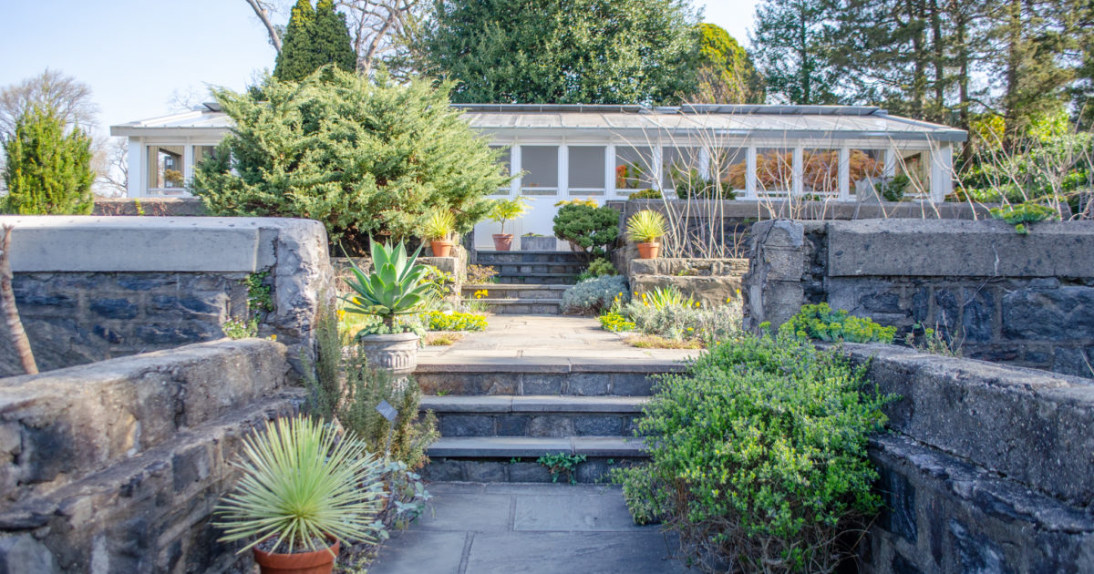 house on the hill Bonnet（Ballet）90 Alpine House: Springtime at High Altitudes - Wave Hill