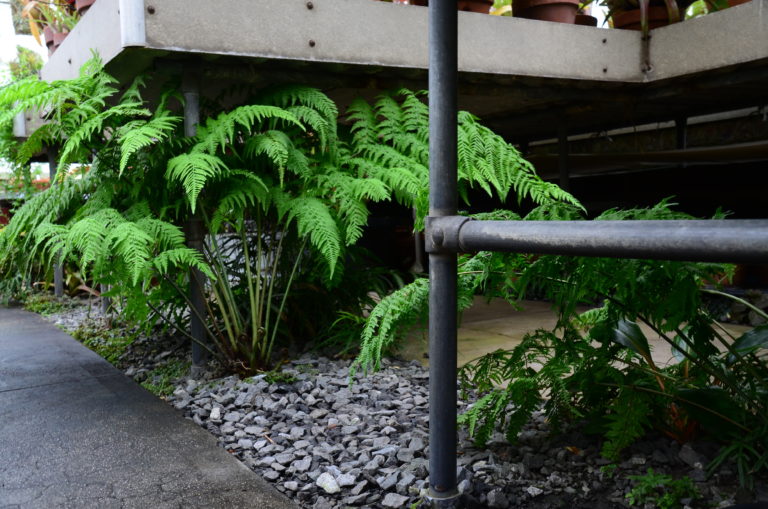 Tropical under bench pic 6