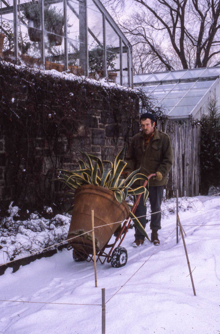 Nally Interns John Nally early days