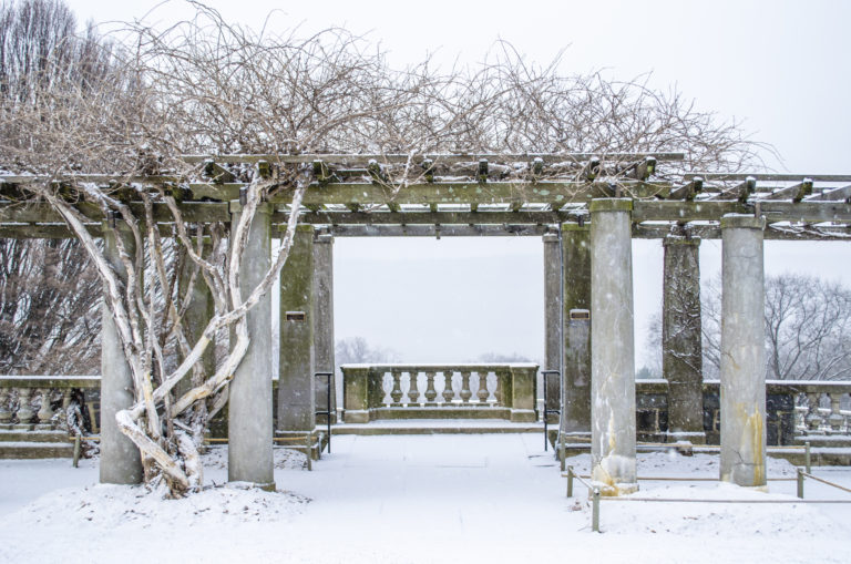 Pergola winter gardens pergola Wave Hill 25