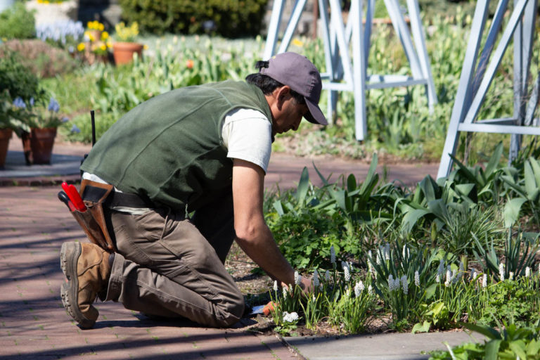 Silver Bed Harnek Singh at work 2019 04 17 38177 Wave Hill